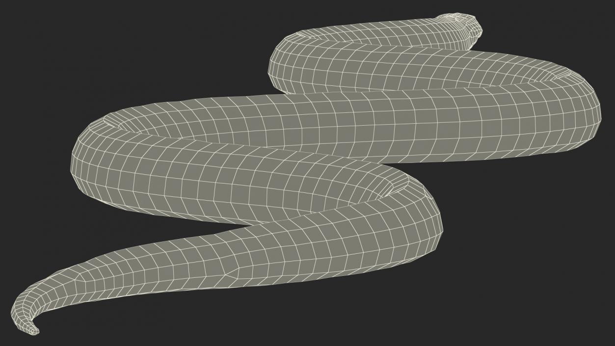 3D California Kingsnake Rigged for Maya