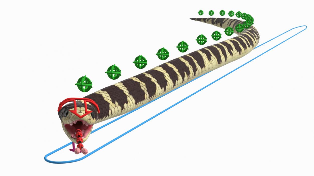 3D California Kingsnake Rigged for Maya