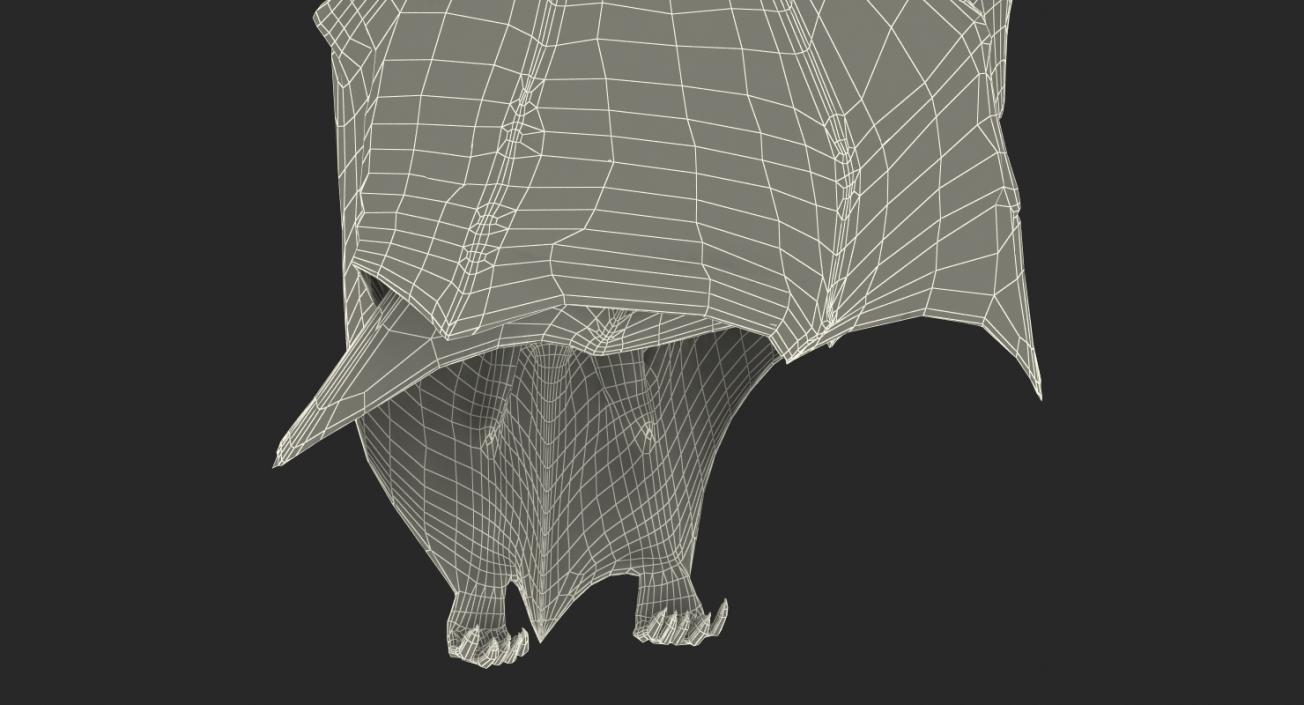 3D Hanging Bat