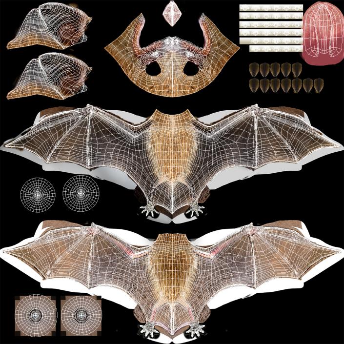 3D Hanging Bat