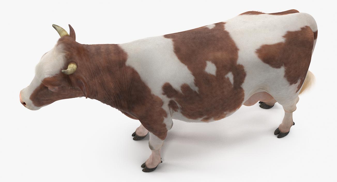 Cow with Fur 3D