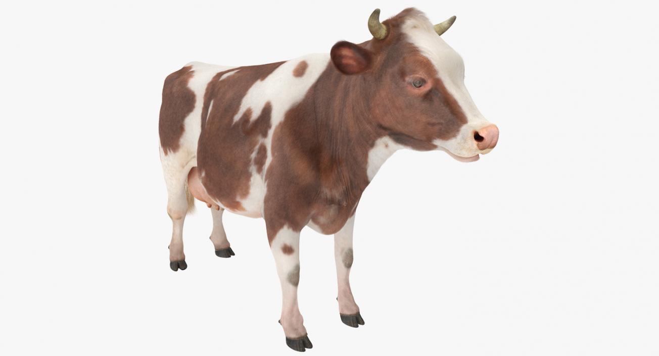 Cow with Fur 3D