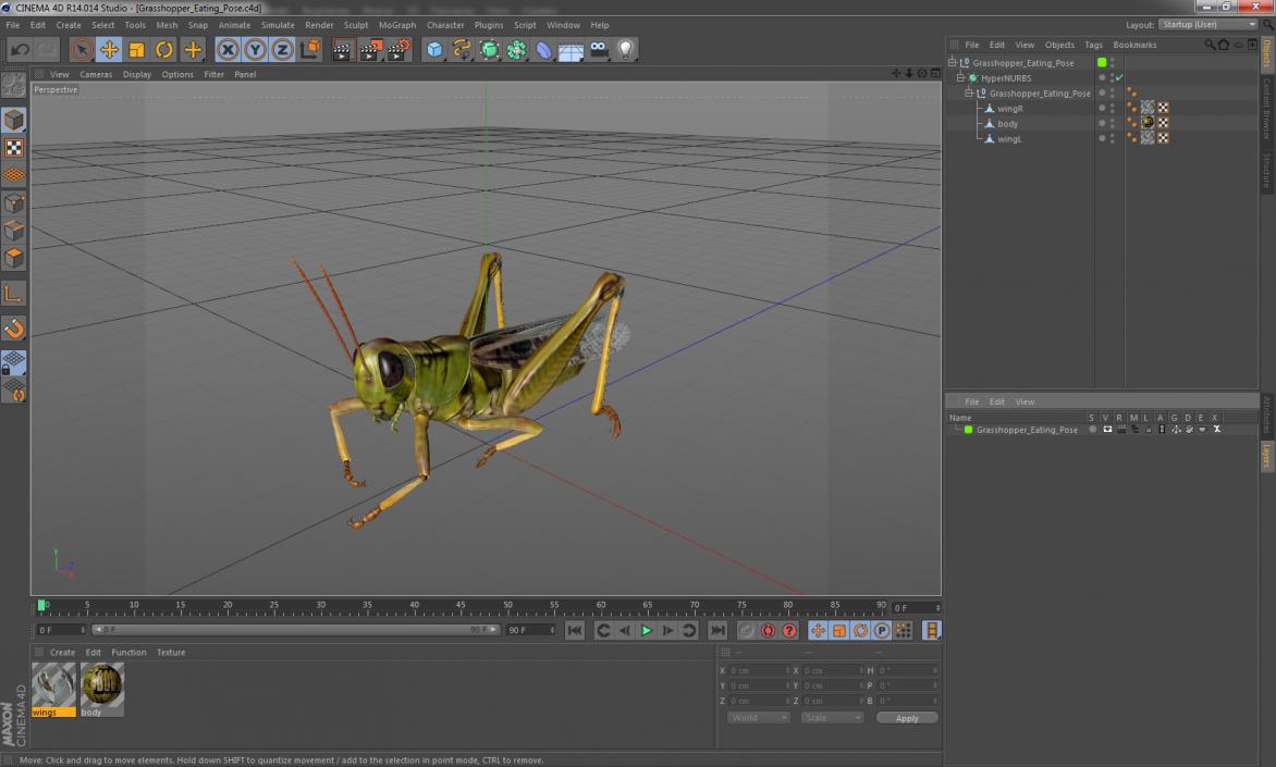 3D Grasshopper Eating Pose model