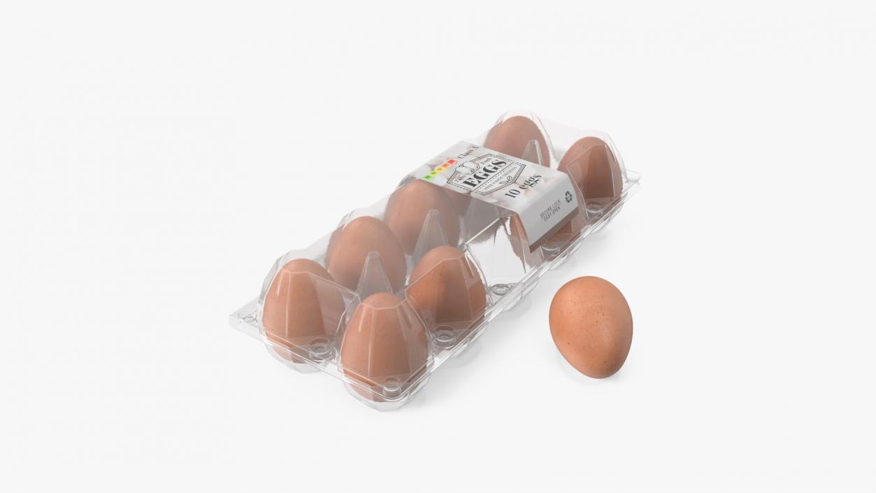 3D model Egg Plastic Packaging with Ten Eggs