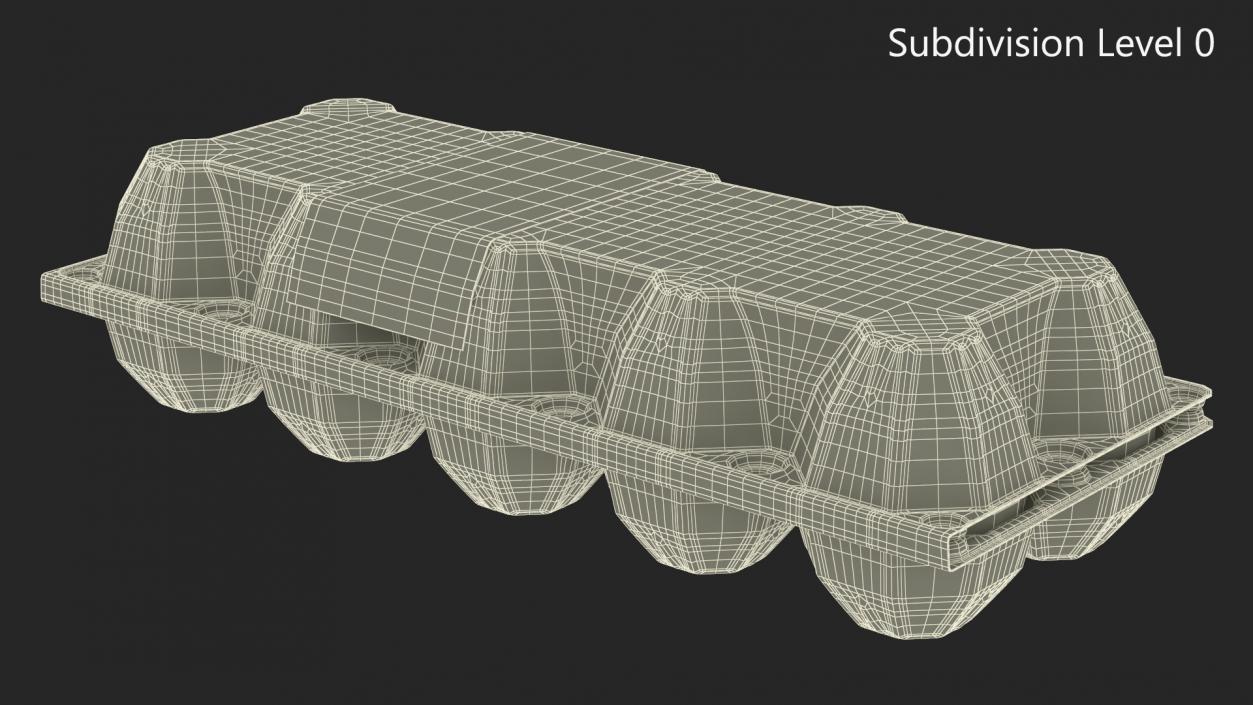 3D model Egg Plastic Packaging with Ten Eggs