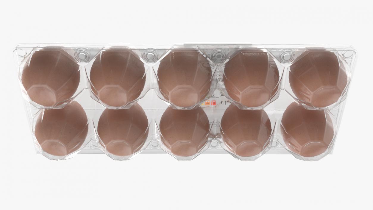 3D model Egg Plastic Packaging with Ten Eggs