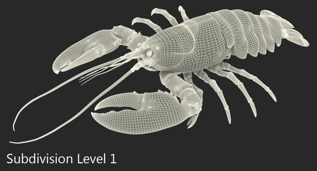 Lobster 3D model