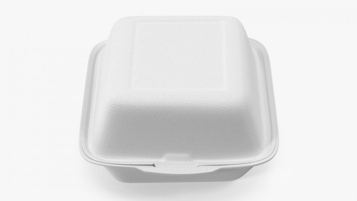 3D Food Container Square Closed model