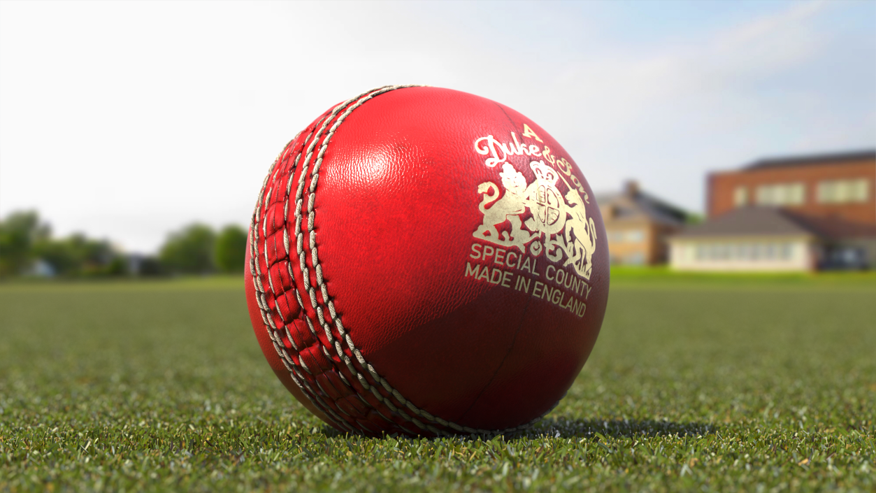 3D model Cricket Ball Duke And Son
