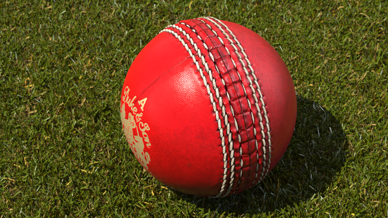 3D model Cricket Ball Duke And Son