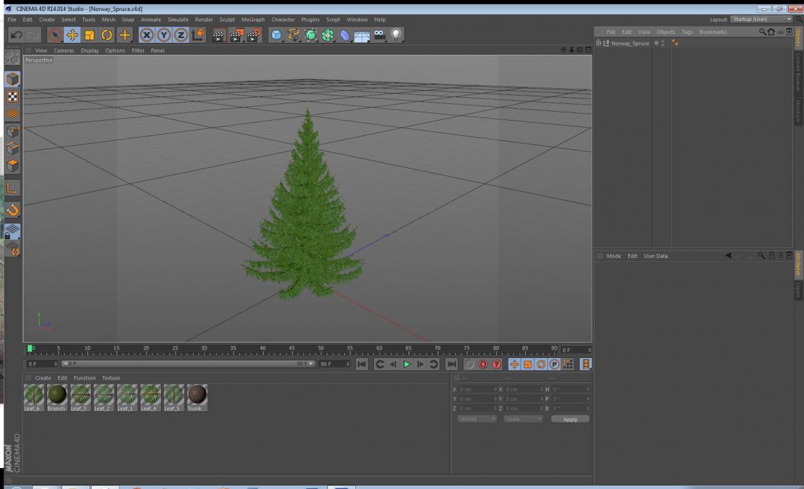 3D Norway Spruce model