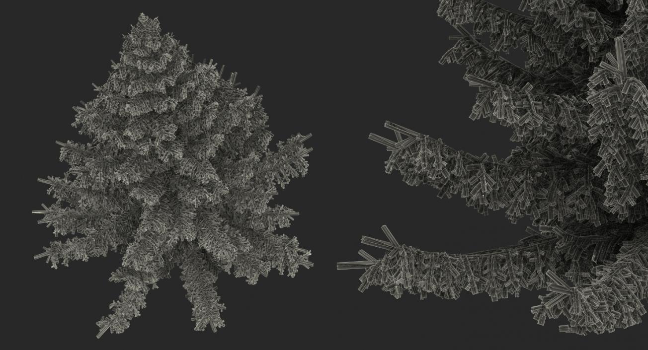 3D Norway Spruce model