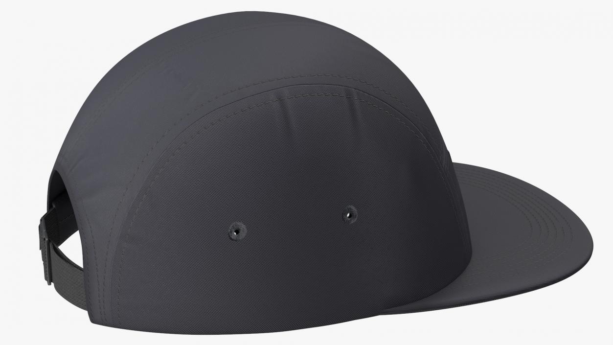 Dickies Albertville 5 Panel Cap Black 3D