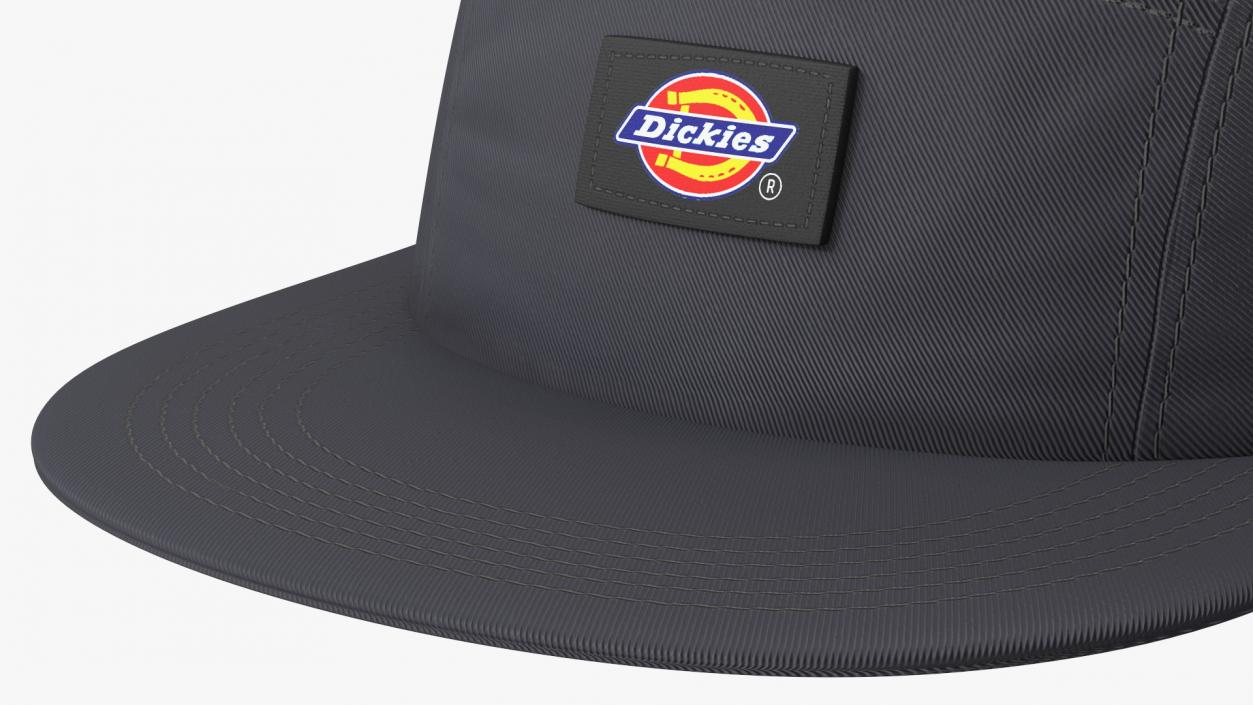 Dickies Albertville 5 Panel Cap Black 3D