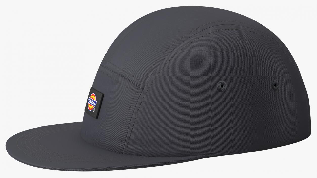 Dickies Albertville 5 Panel Cap Black 3D