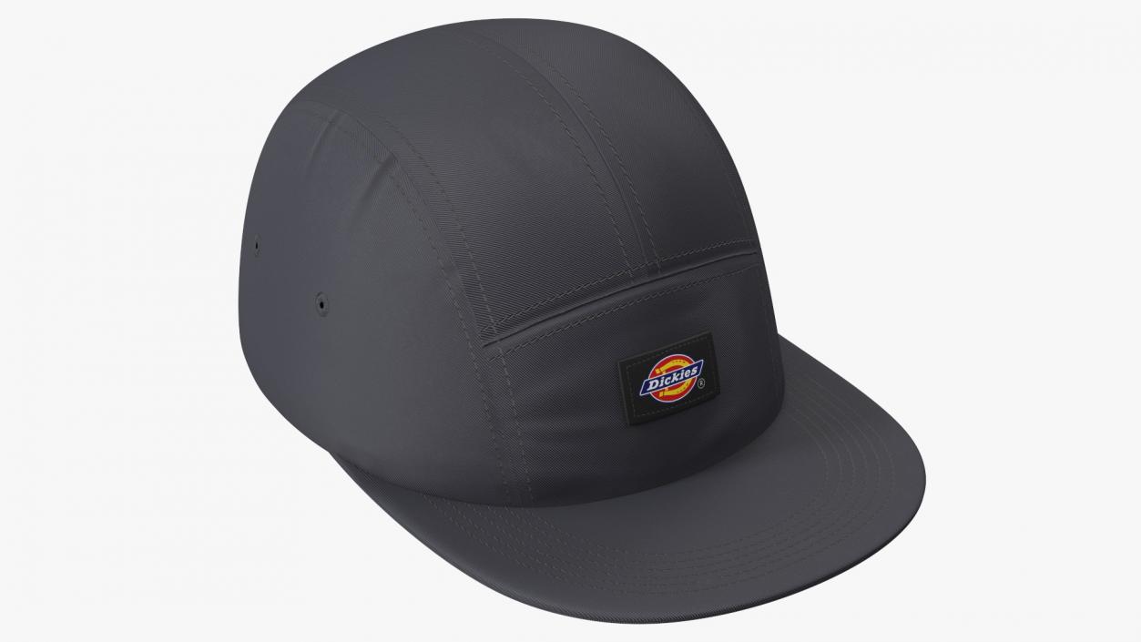 Dickies Albertville 5 Panel Cap Black 3D