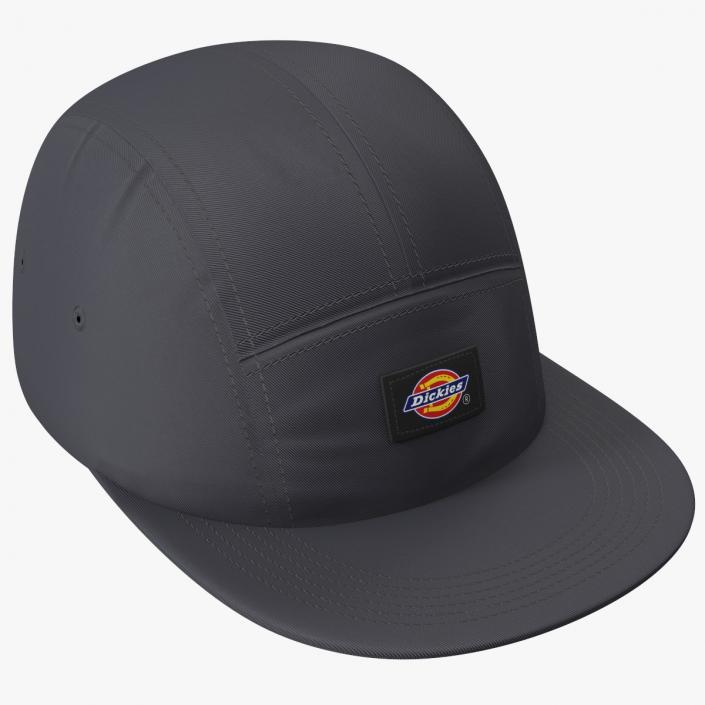 Dickies Albertville 5 Panel Cap Black 3D