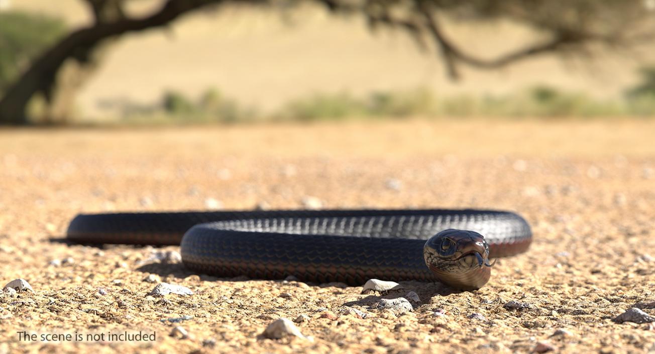 California Kingsnake Crawling Pose 3D model