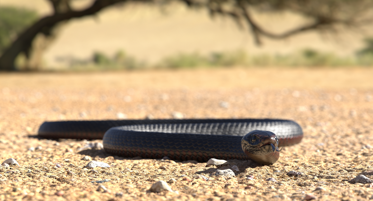 California Kingsnake Crawling Pose 3D model