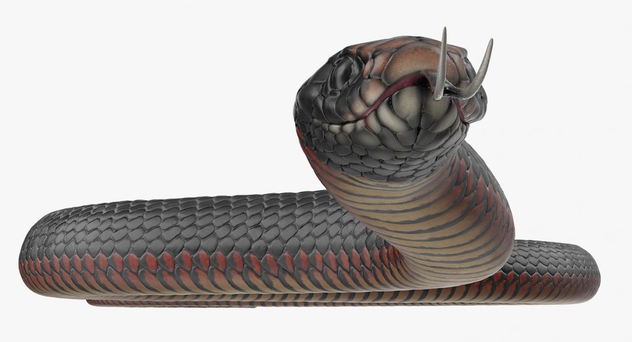 California Kingsnake Crawling Pose 3D model