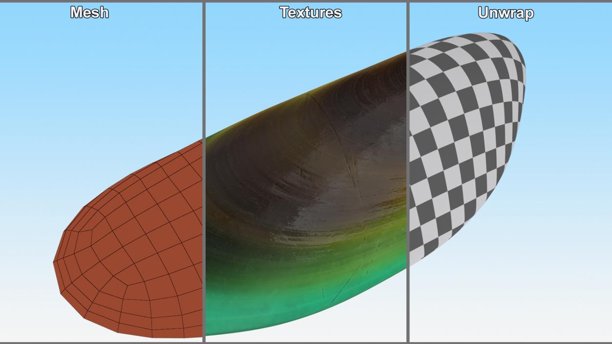 Closed Green Lipped Mussel Shell 2 3D model