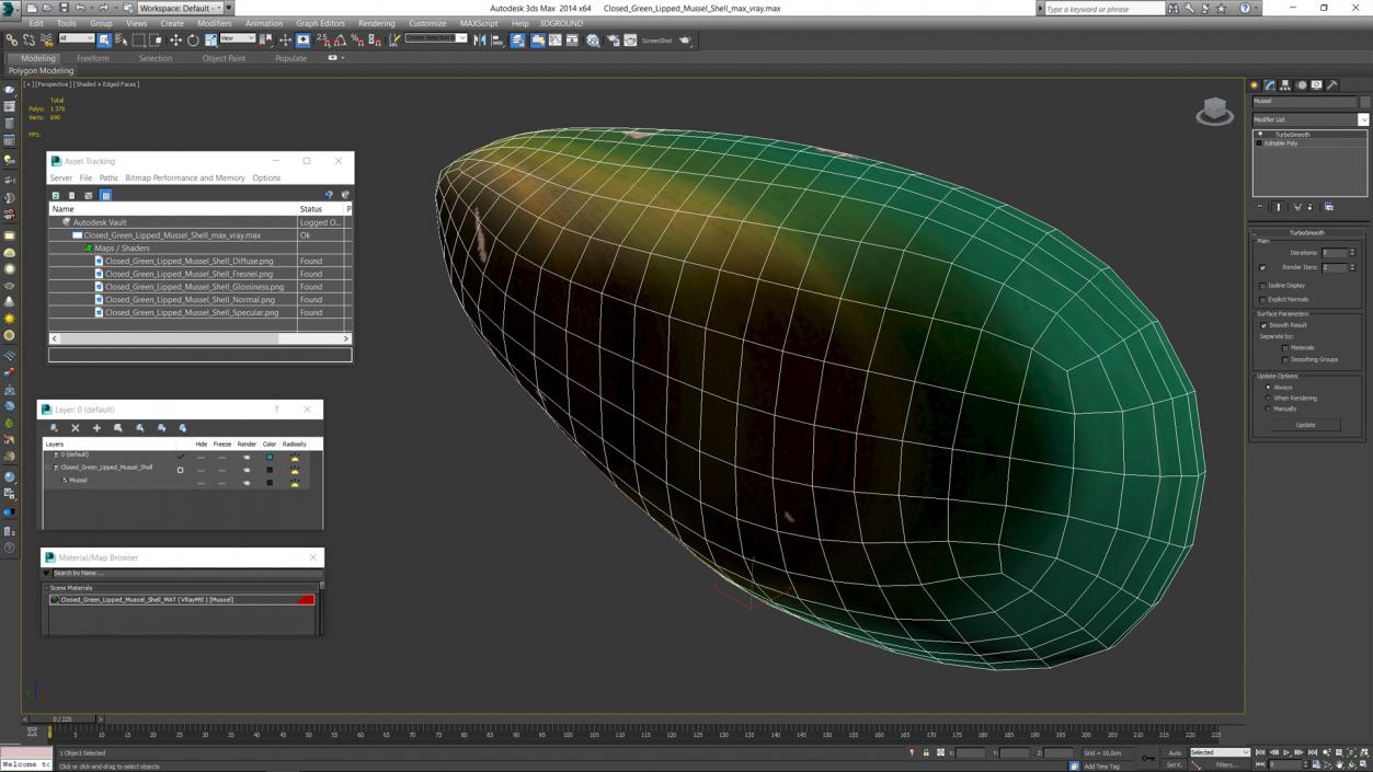 Closed Green Lipped Mussel Shell 2 3D model