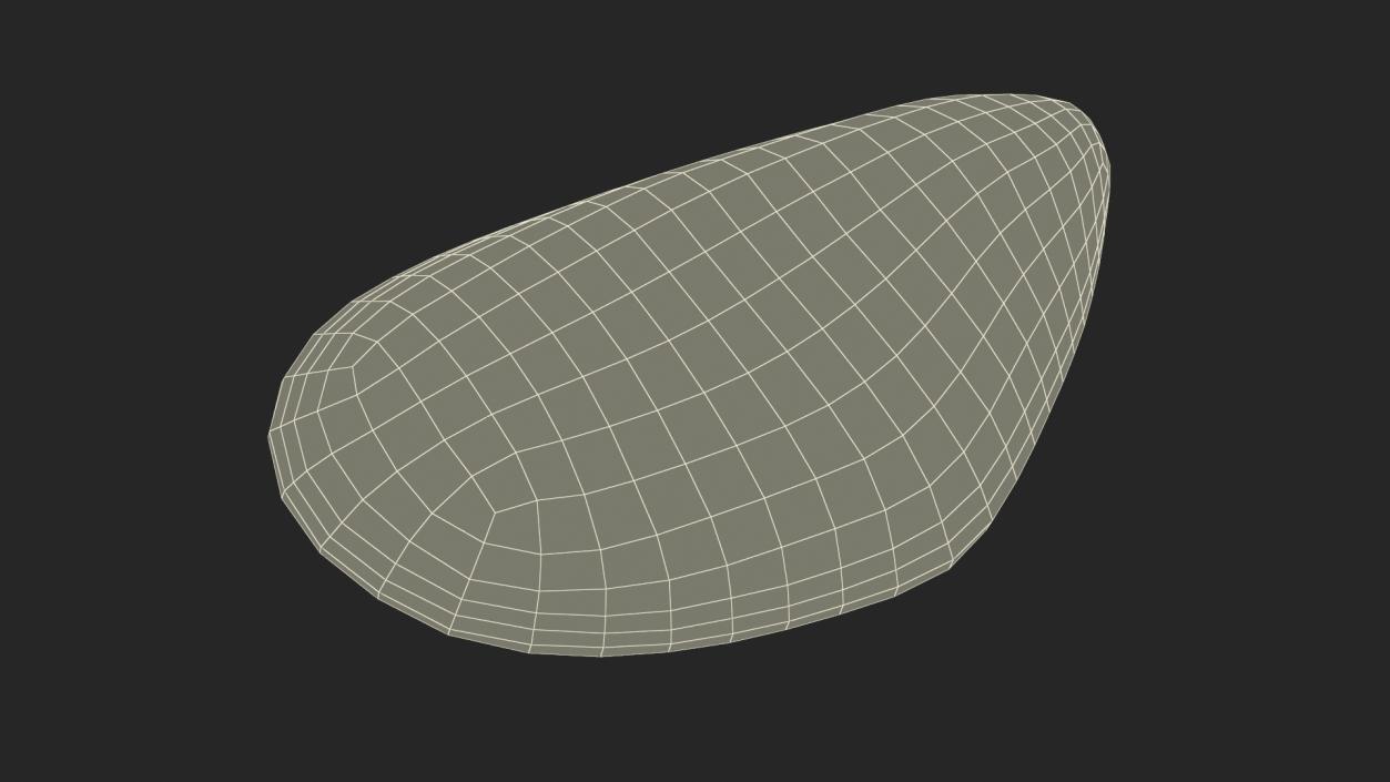 Closed Green Lipped Mussel Shell 2 3D model