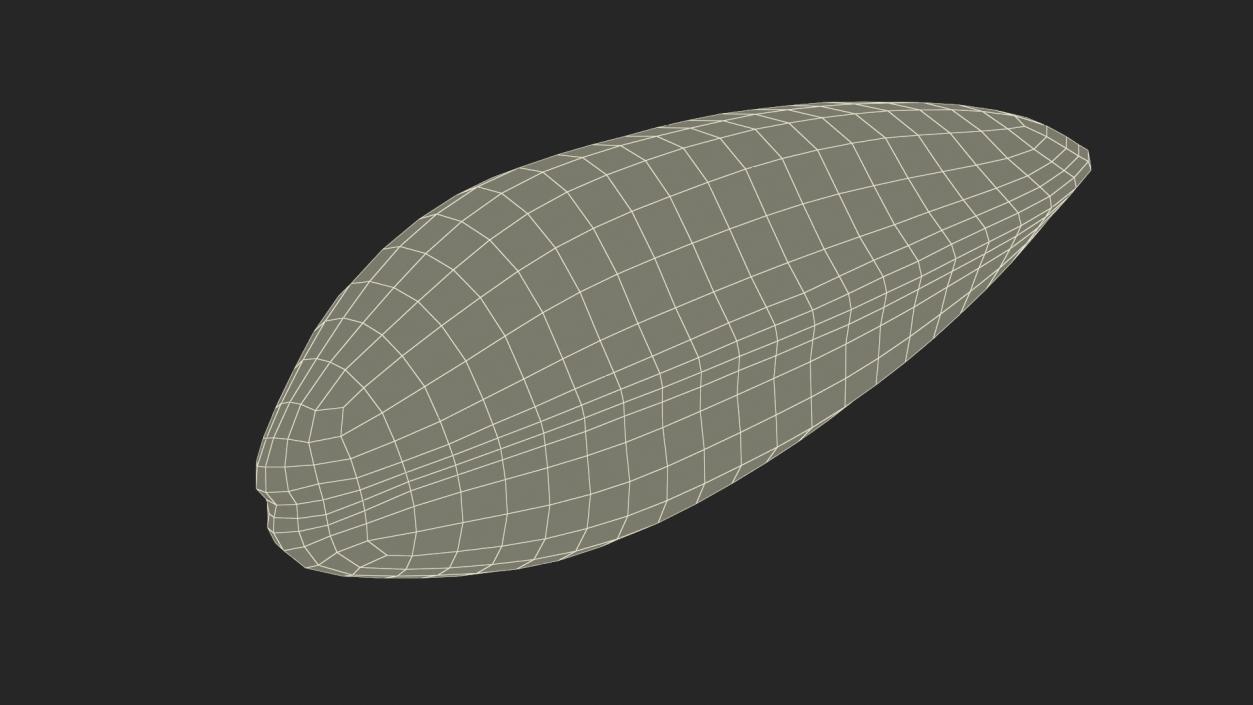 Closed Green Lipped Mussel Shell 2 3D model