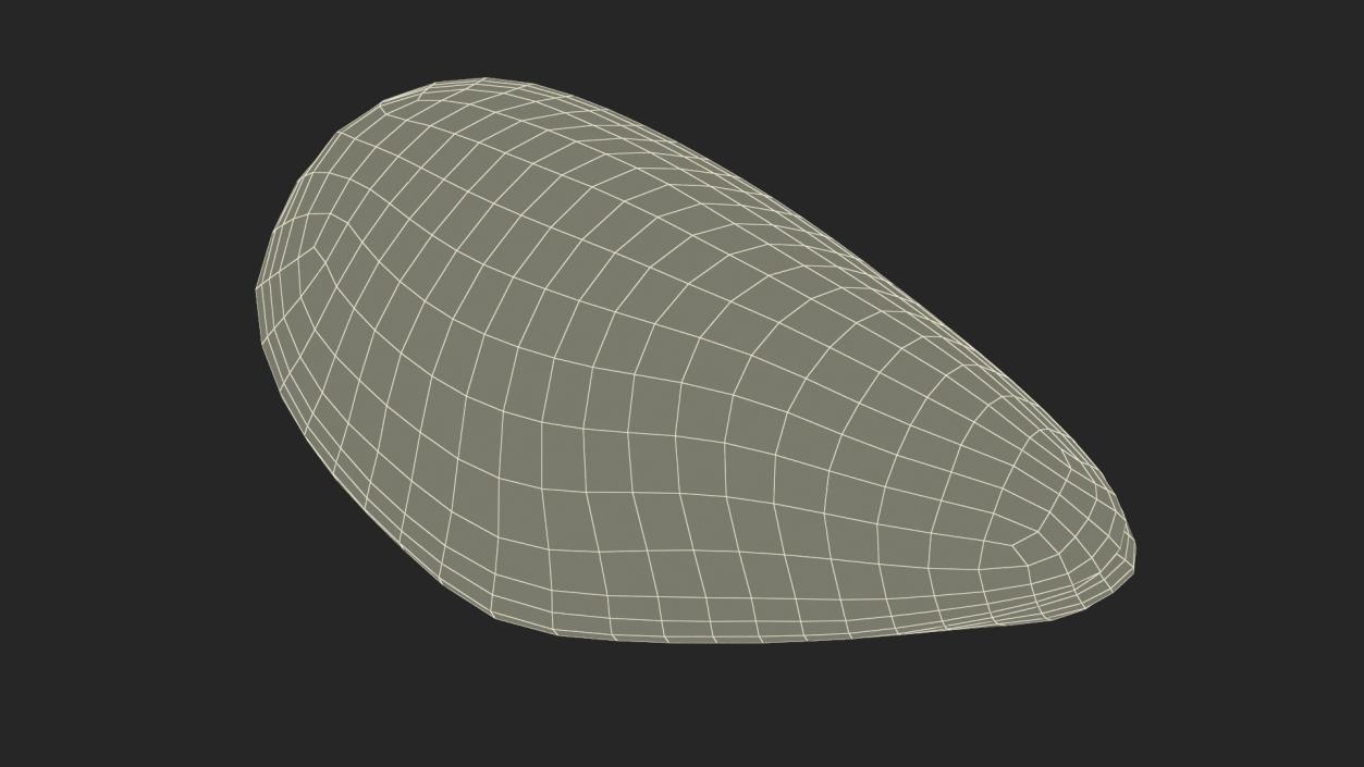 Closed Green Lipped Mussel Shell 2 3D model