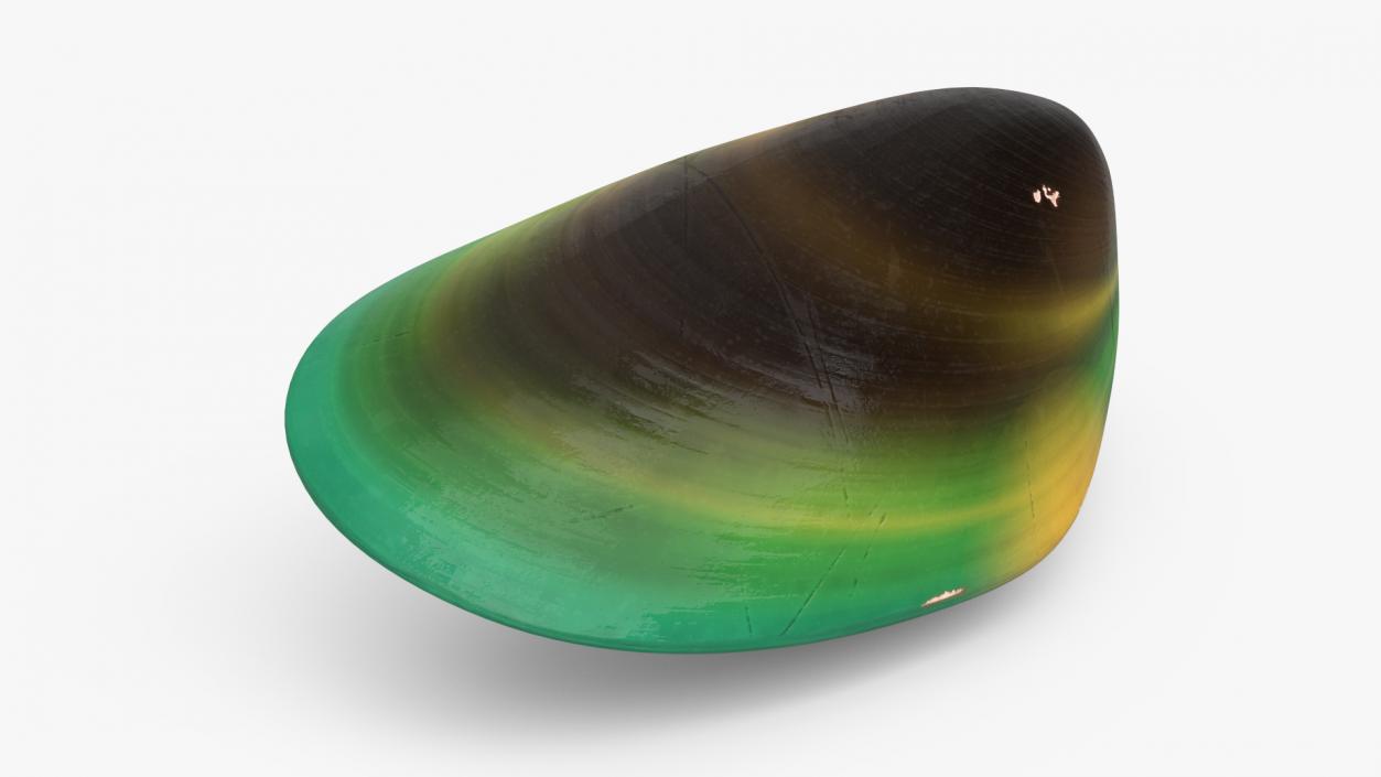 Closed Green Lipped Mussel Shell 2 3D model