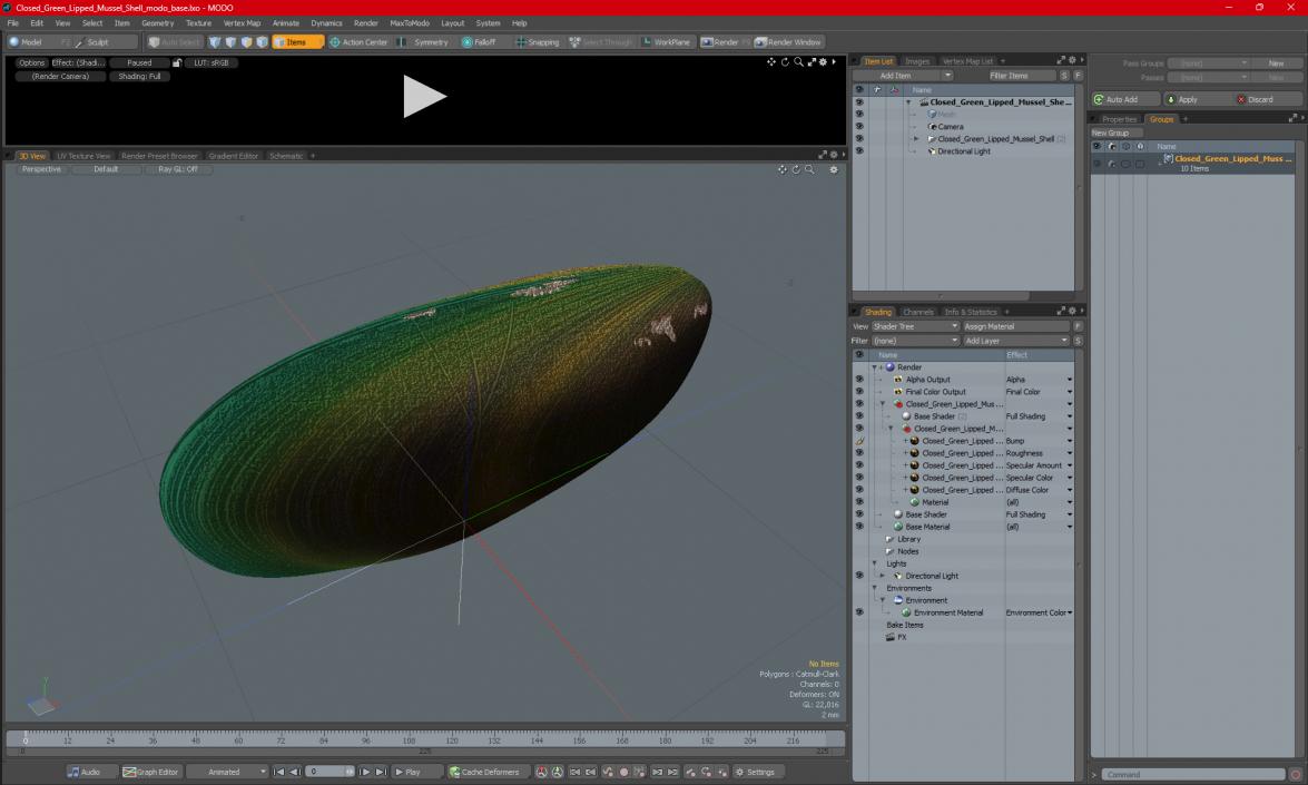 Closed Green Lipped Mussel Shell 2 3D model