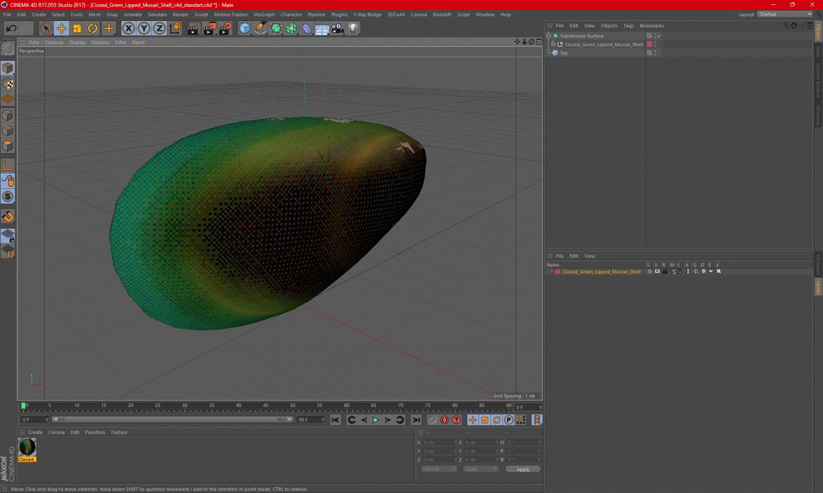 Closed Green Lipped Mussel Shell 2 3D model