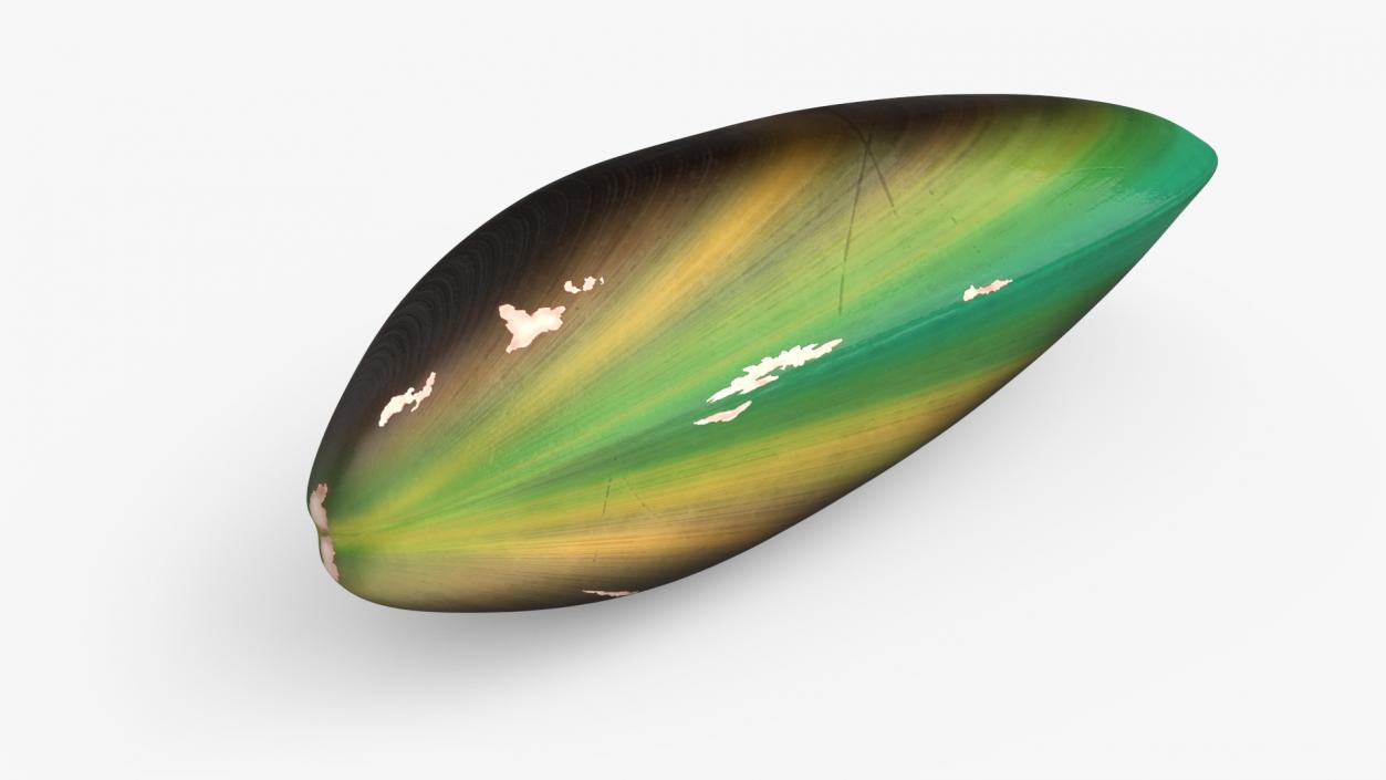 Closed Green Lipped Mussel Shell 2 3D model