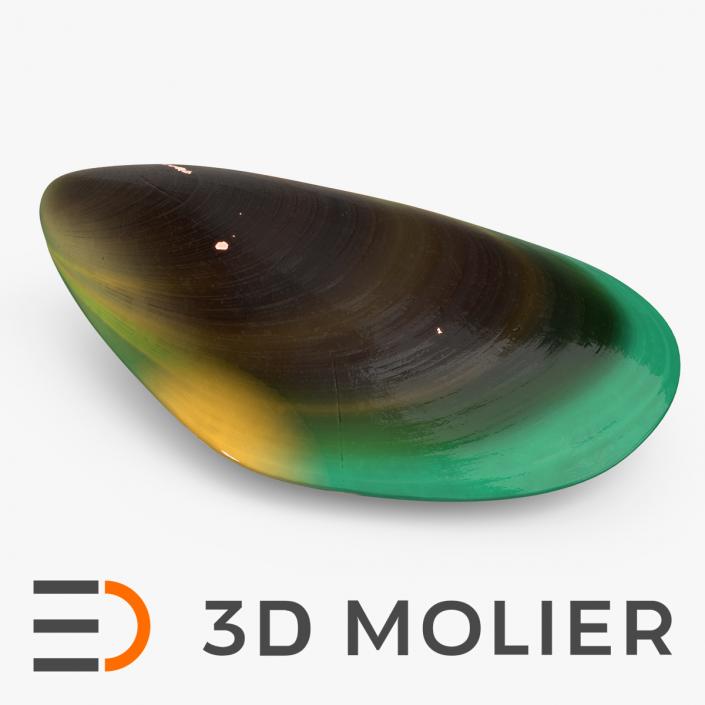 Closed Green Lipped Mussel Shell 2 3D model