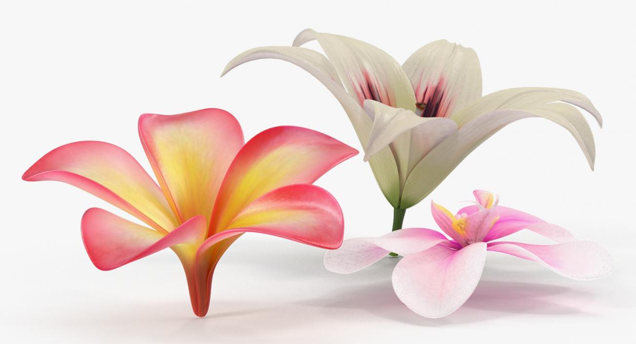 3D model Flowers Collection 5