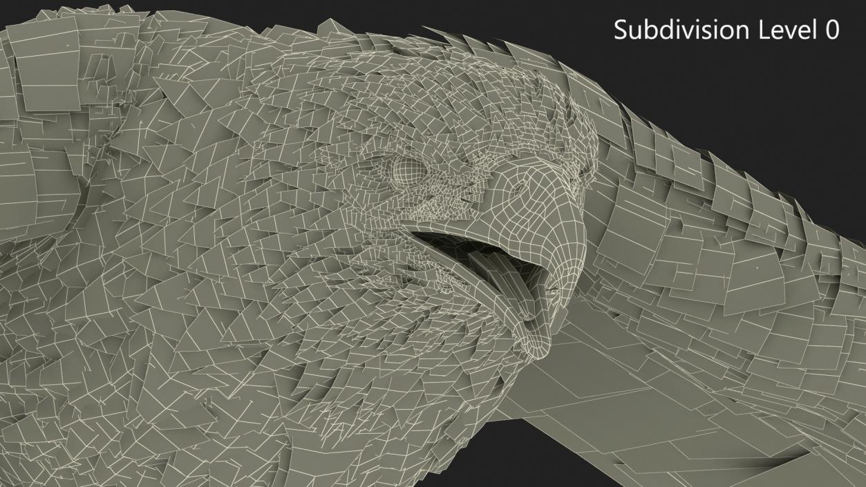 Realistic Flying Bald Eagle 3D