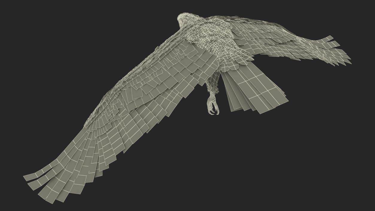 Realistic Flying Bald Eagle 3D