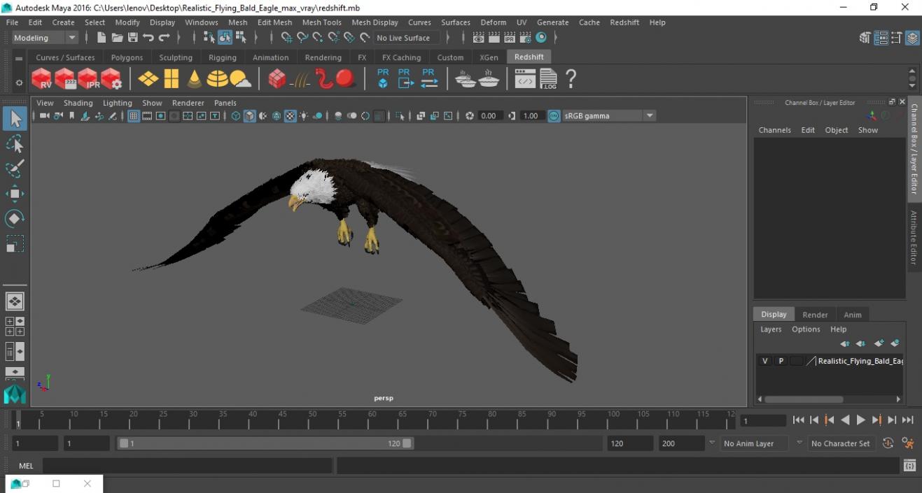 Realistic Flying Bald Eagle 3D