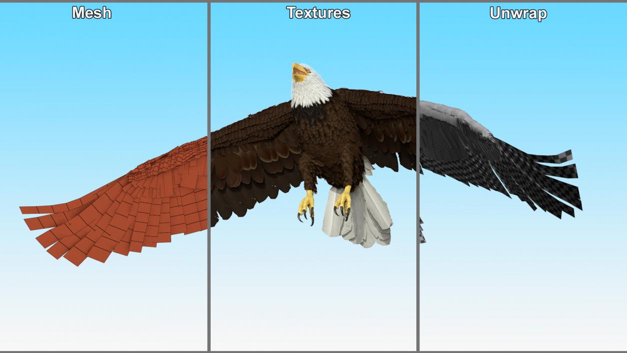 Realistic Flying Bald Eagle 3D