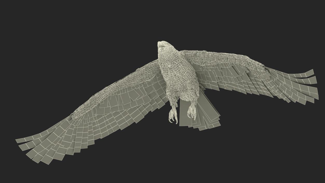 Realistic Flying Bald Eagle 3D