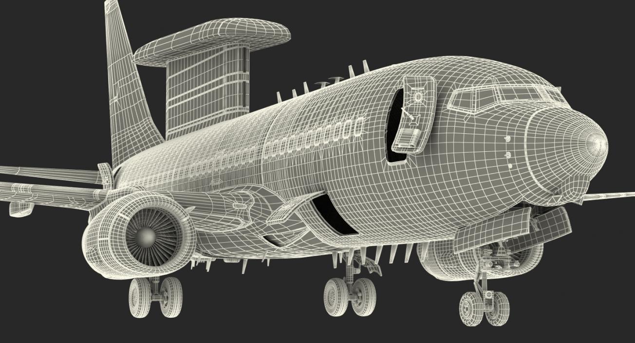 Boeing 737-7ES Peace Eagle Aircraft Rigged 3D