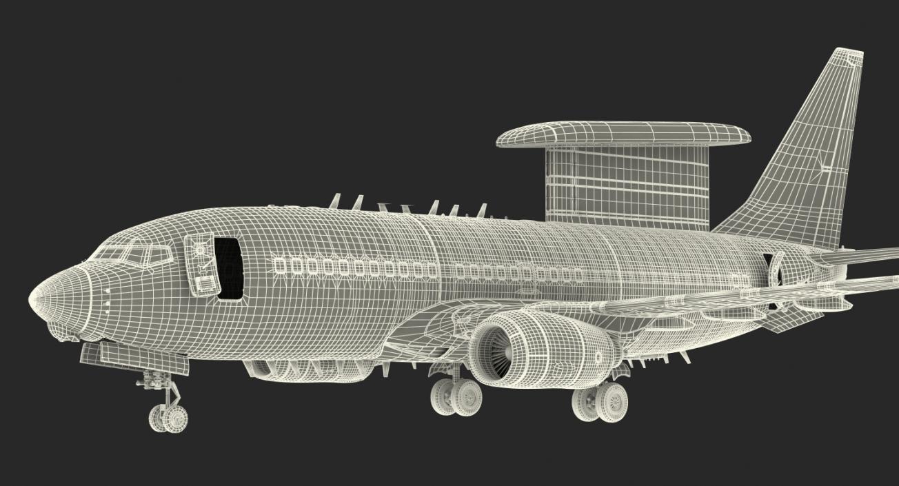 Boeing 737-7ES Peace Eagle Aircraft Rigged 3D