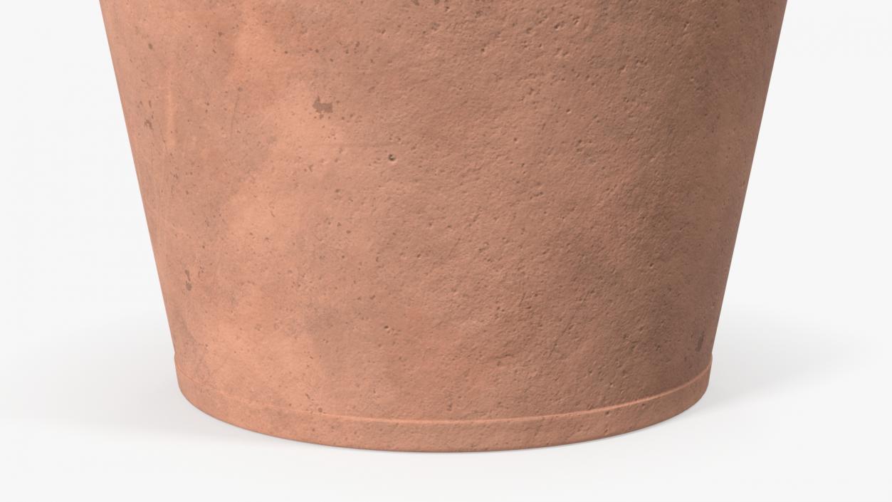 3D Medium Terracotta Flower Pot model