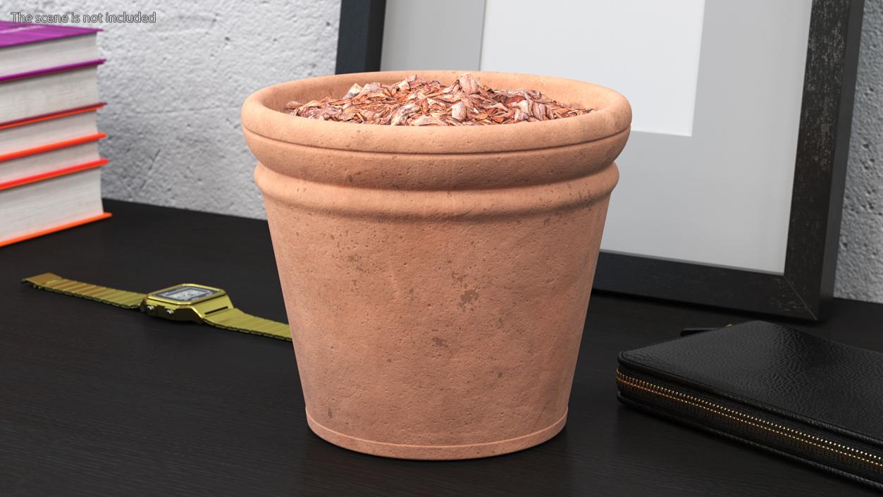 3D Medium Terracotta Flower Pot model