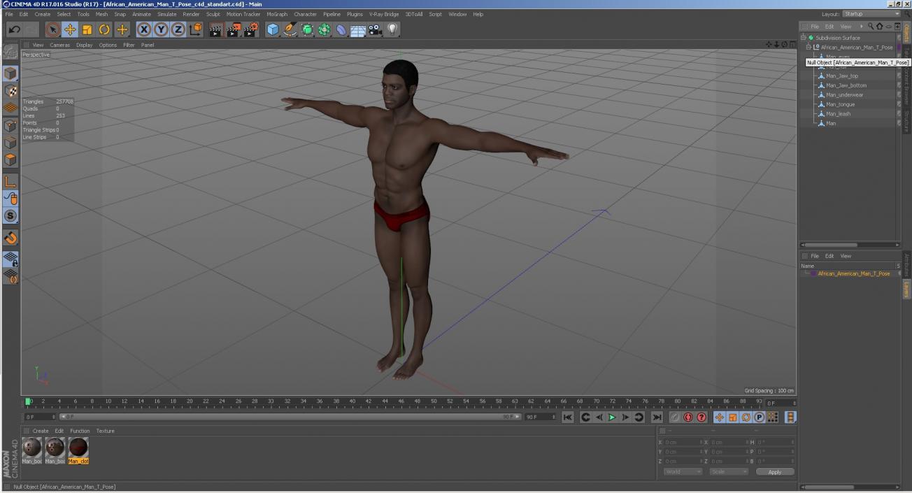 African American Man T Pose 3D