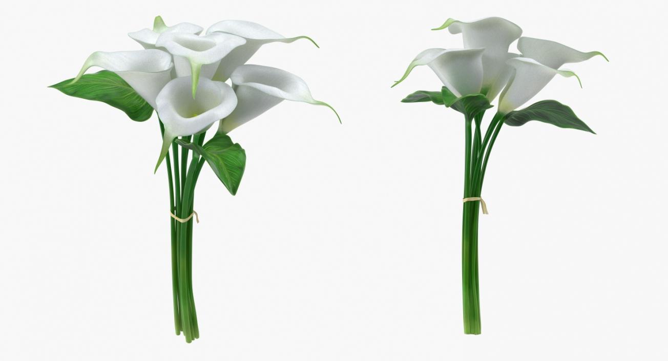 Bouquets Collection 3D model