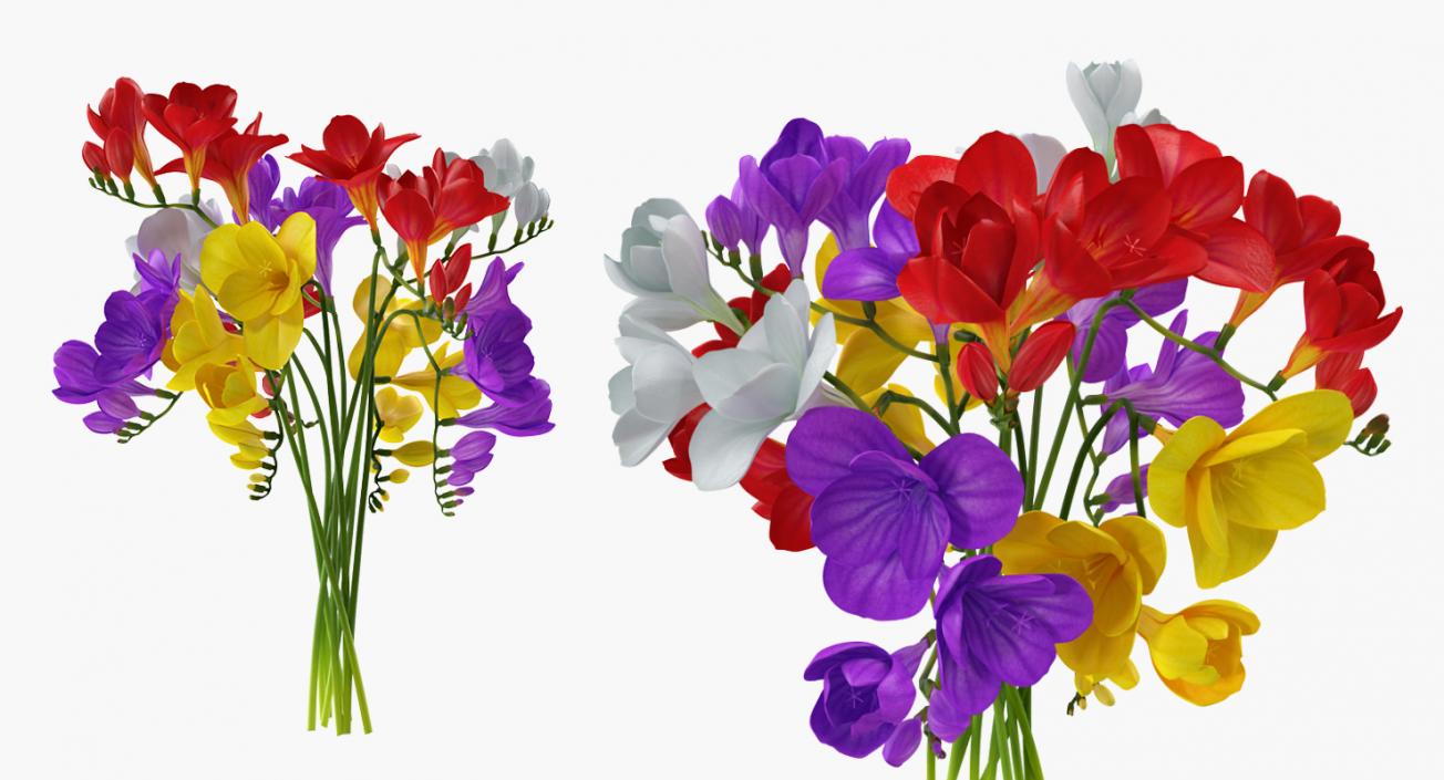 Bouquets Collection 3D model