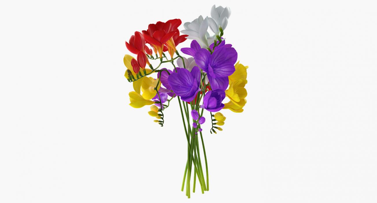 Bouquets Collection 3D model