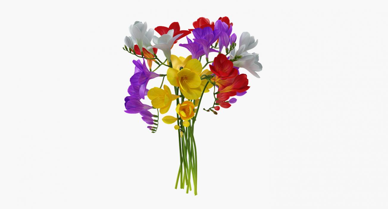 Bouquets Collection 3D model