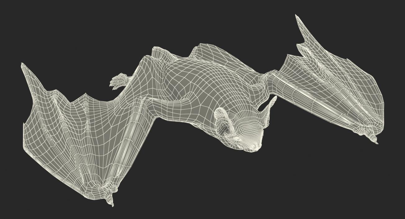 3D Flying Bat 2 with Fur